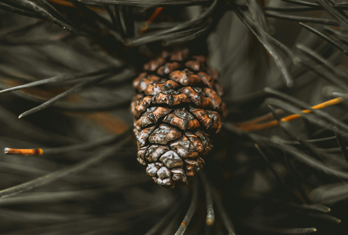 Palvelun Suunnittelu ♡ rakentaminen kuva